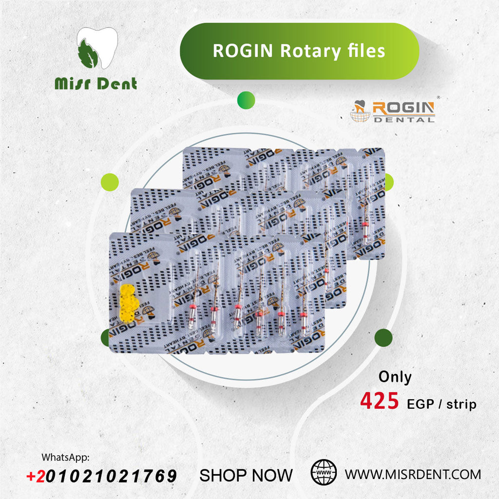  Hot offer- Rogine rotary files