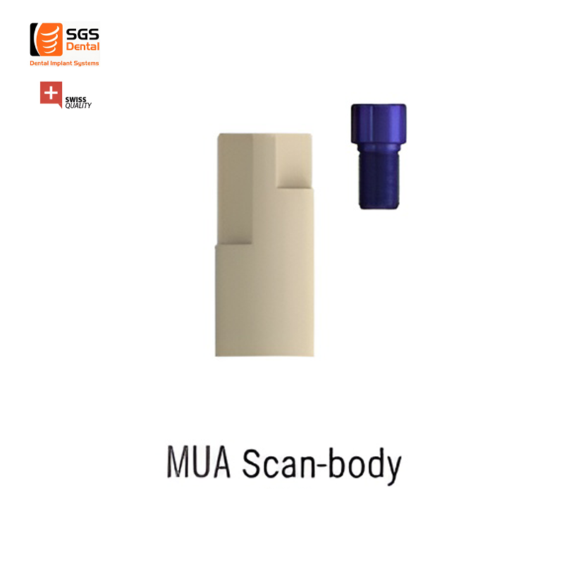 MUA-Scan-Body